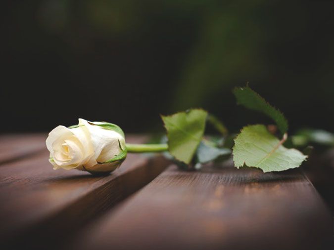 Nghĩa tử là nghĩa tận